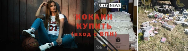 крисы Наволоки