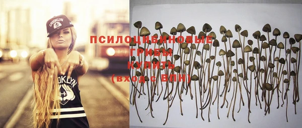 Альфа ПВП Михайлов